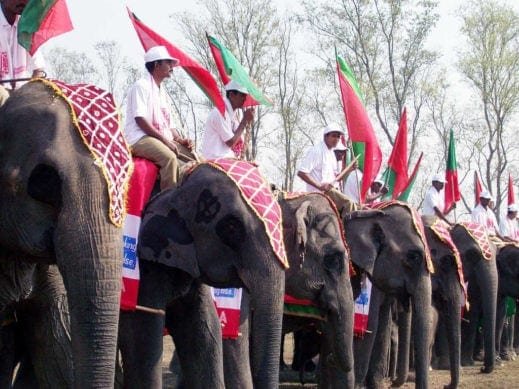 Elephant Festival Jaipur 3 elephant