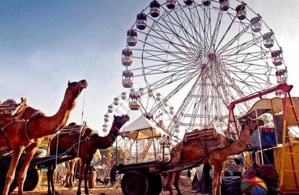 Pushkar camel fair Rajasthan worlds largest camel fair 2 Pushkar camel fair Rajasthan worlds largest camel fair