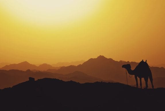 Pushkar camel fair Rajasthan worlds largest camel fair 7 Pushkar camel fair Rajasthan worlds largest camel fair