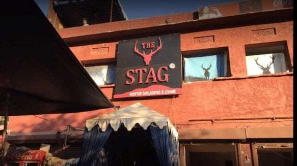 the stag