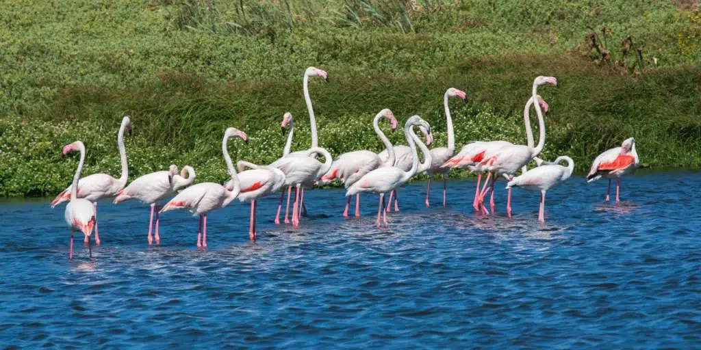 Chandlai Lake Jaipur