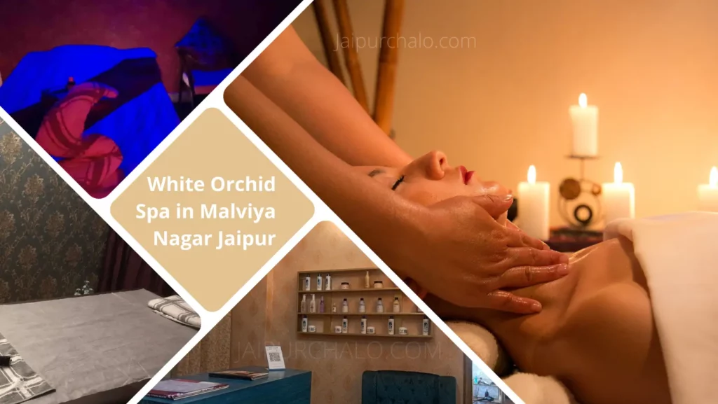 White Orchid Spa in Malviya Nagar Jaipur