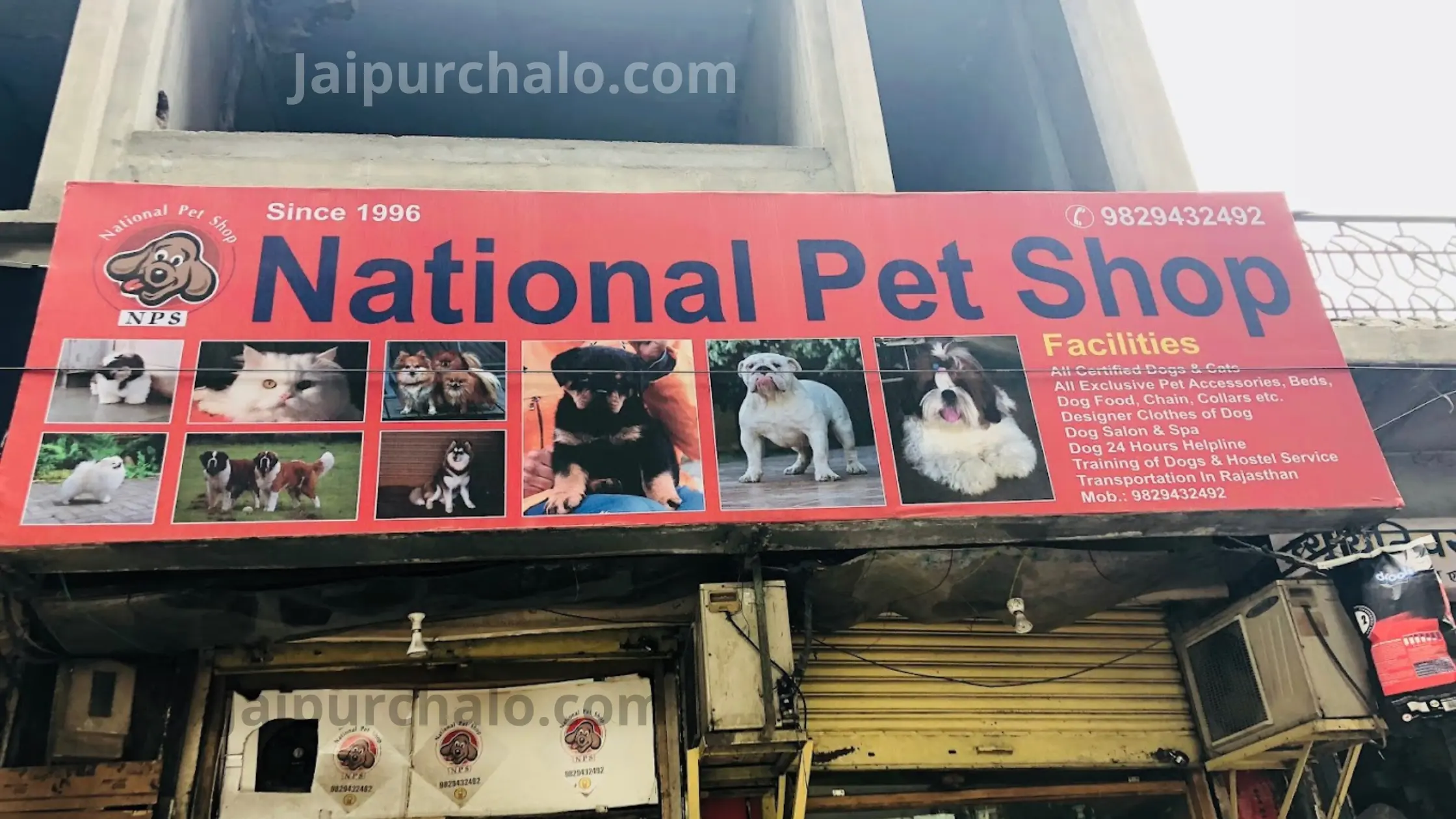 Birds Paradise Jaipur Timing, Address, Price, Reviews