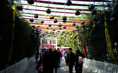 Jaipur_literature Jaipur_literature