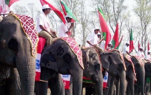 elephant rides in jaipur